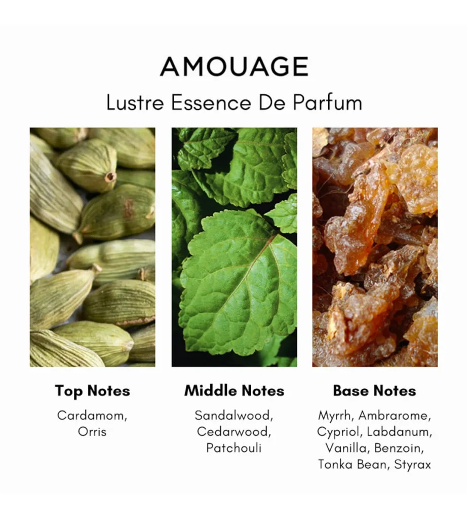 عطر زنانه آمواج لاستر Amouage Lustre